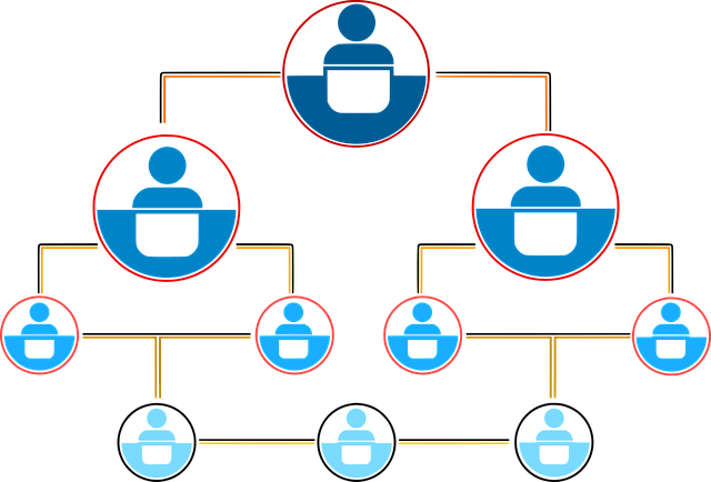 分销裂变：重构商业增长逻辑的社交引擎