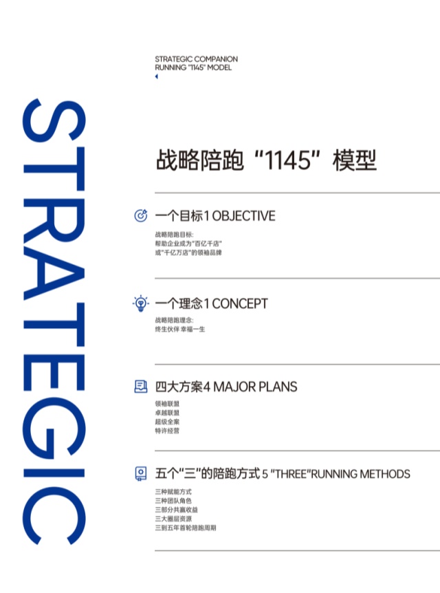 战略陪跑1145模型