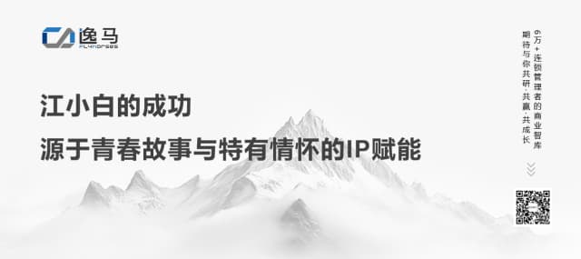 马瑞光博士新书《万店连锁之道》