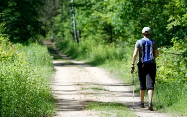 2024新式茶饮品牌突围:LINLEE如何打造供应链与IP生态护城河 2024新式茶饮品牌突围:LINLEE如何打造供应链与IP生态护城河