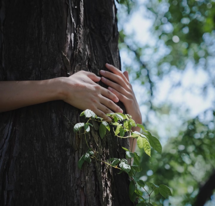心·场景美学 心·场景美学