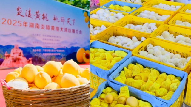 狂开3000+门店,钱大妈如何用标准化打法引领餐饮革命? 狂开3000+门店,钱大妈如何用标准化打法引领餐饮革命?