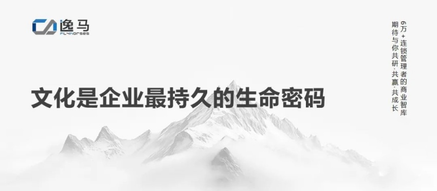 从“一店”到“万店”：连锁企业如何用标准化撬动千亿增长！