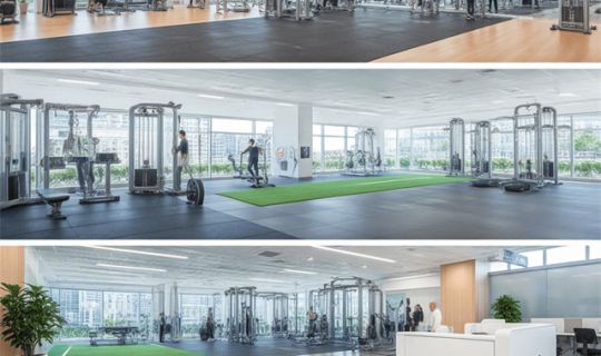 连锁标准化三大系统（运营系统、训练系统、督导系统）