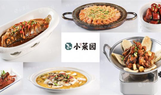 8个月狂赚4亿！小菜园即将上市！