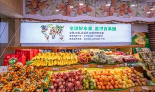 高端水果店的运营模式（水果店运作模式）