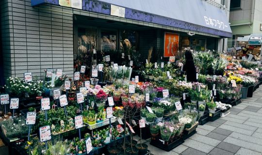 店面生意不好怎么吸引顾客：实战策略与创意点子