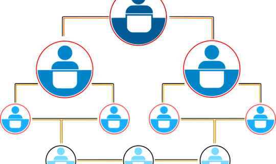 门店裂变的经营模式（连锁店裂变模式）