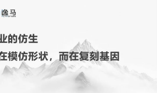 从“一店”到“万店”：揭秘连锁规模化背后的系统力量